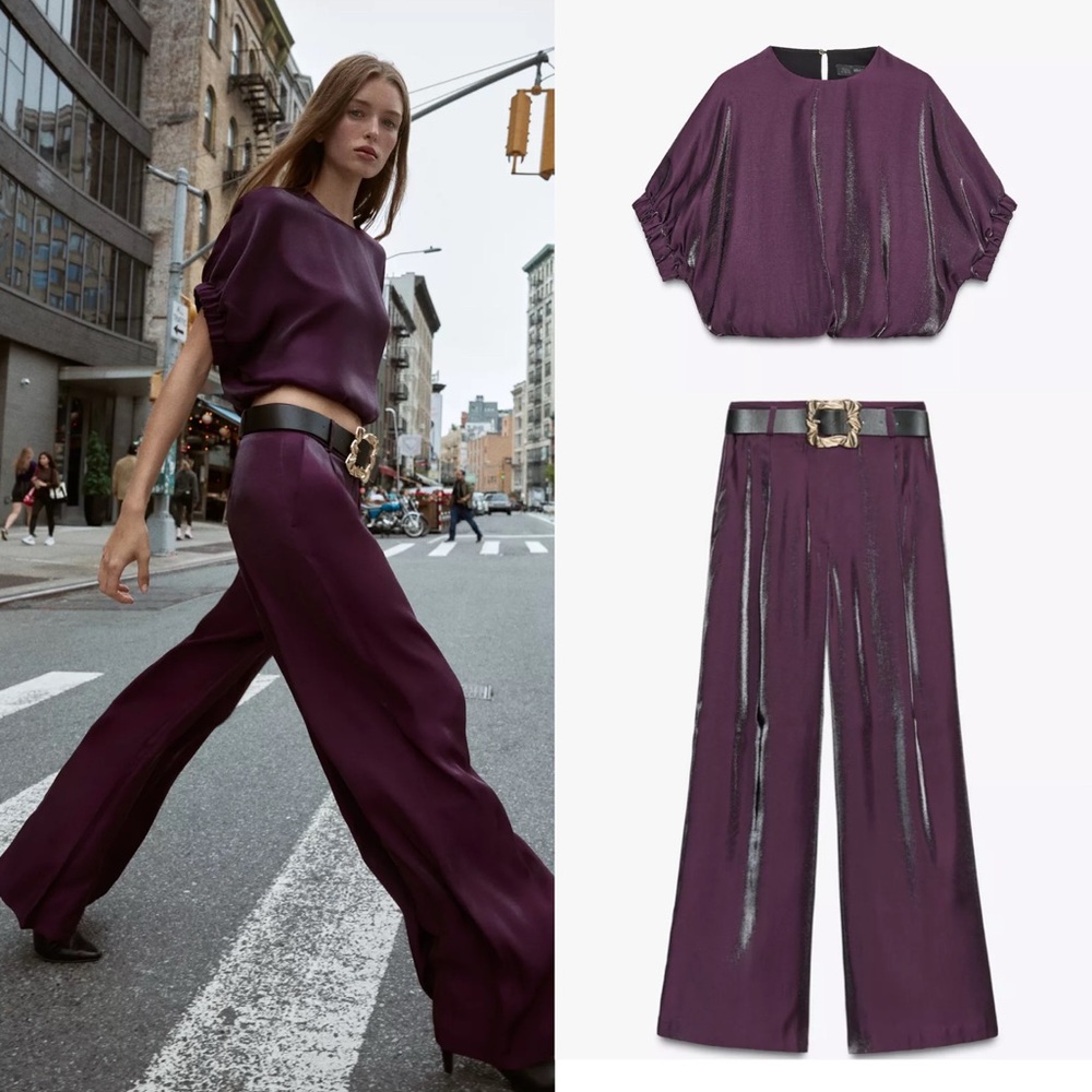 Zara Purple Wide Leg Pants & Top Set